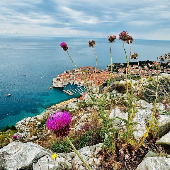 Meet your Posher, Nicole - Picture 15 of 16